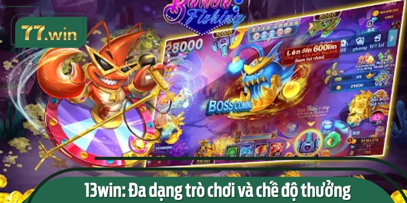 13win: Đa dạng trò chơi và chế độ thưởng