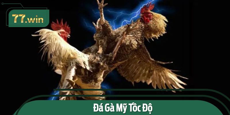 Những hình thức đá gà 11BET nổi bật