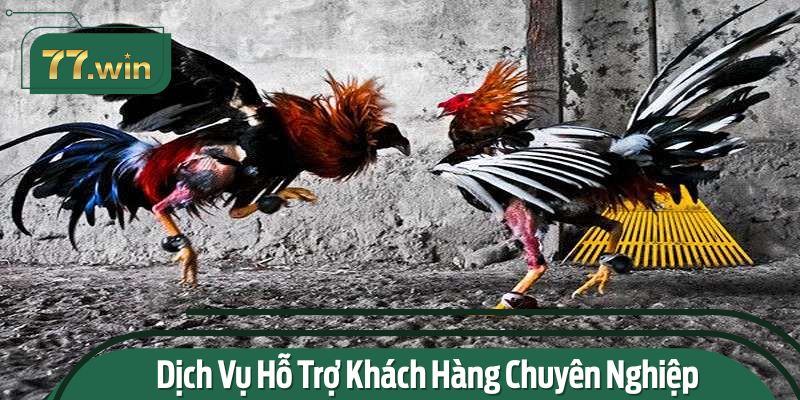 Điểm mạnh đáng chú ý của sảnh chơi đá gà tại 11BET