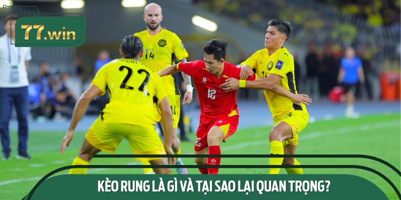 Kèo rung là gì và tại sao lại quan trọng?